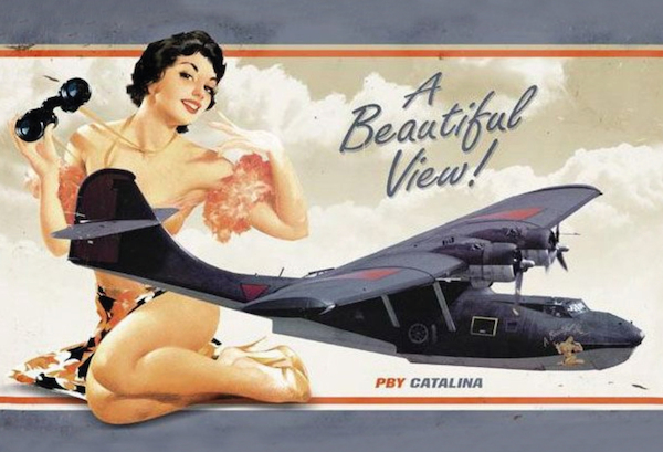 PBY Catalina A Beautiful View! Pin up metal poster metal sign  AV0016