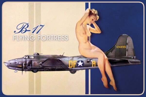 B-17 Flying Fortress 124485 nude - pin up metal poster metal sign  AV0040