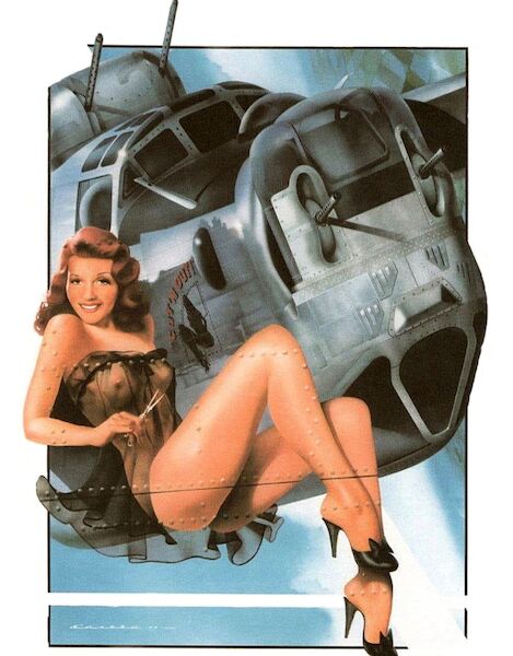 Cut'n Out - Rita Hayworth pinup with B-24 Liberator Vintage metal poster metal sign B-24 PINUP