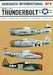 Republic P47D Thunderbolt 