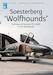 Soesterberg "Wolfhounds", the history of the 32nd TFS USAFE  in The Netherlands (RESTOCK) DF-47