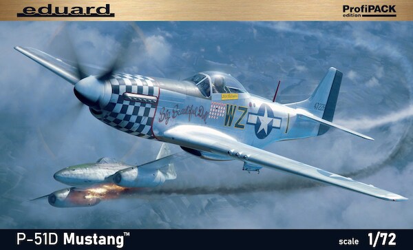 P51D-10 Mustang 70173