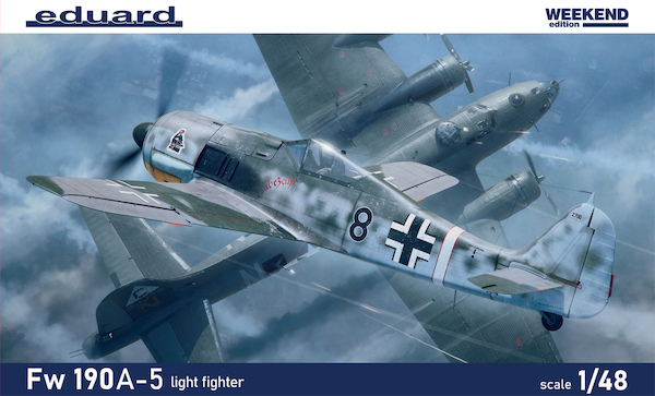 Focke Wulf FW190A-5 'Light Fighter" 84118