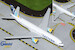 Boeing 777-200ER Eastern Airlines N771KW flaps down GJEAL2059F