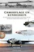 Geschiedenis van camouflage en kenmerken op vliegtuigen van de Militaire Luchtvaart / Koninklijk Nederlands-Indisch Leger 