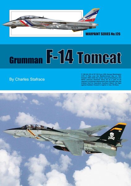 Grumman F14 Tomcat ws-126