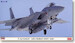 F15J Eagle "204sq JASDF Air Combat Meet 2010" 2401917