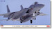 F15J Eagle "204sq JASDF Air Combat Meet 2010" 2401917