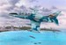 Aero L-39ZO/ZA Albatross (PROMOTIONAL OFFER - WAS EURO 39,95)
