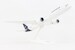 Boeing 787-9 Lufthansa D-ABPA  SKR1096