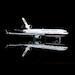 McDonnell Douglas MD11 House Colors N211MD Flaps Down  YY1103F