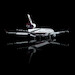 McDonnell Douglas MD11 House Colors N211MD Flaps Down  YY1103F